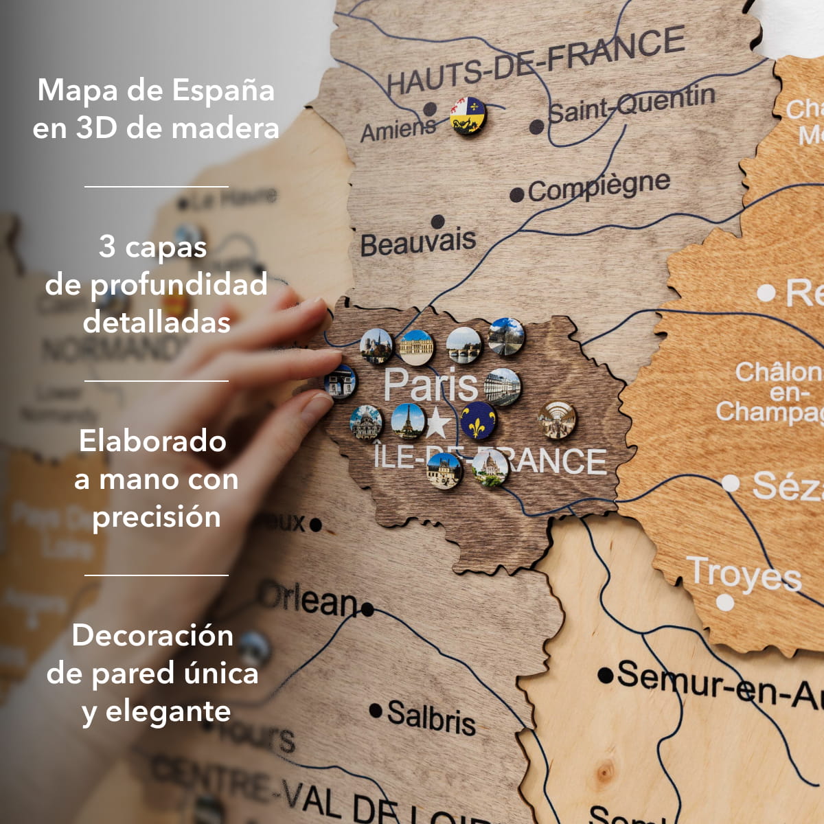 Mapa de Francia Madera Multicolor