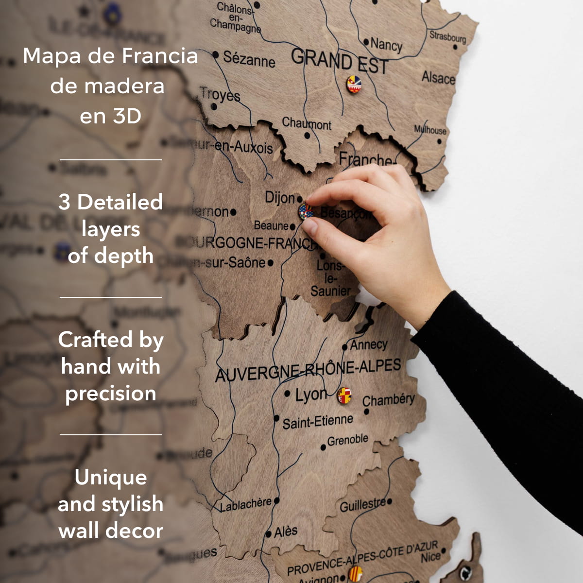 Mapa de Francia Madera Terra